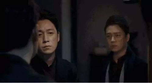 白夜追凶电视剧,黑白交织的悬疑世界，正义与邪恶的终极对决